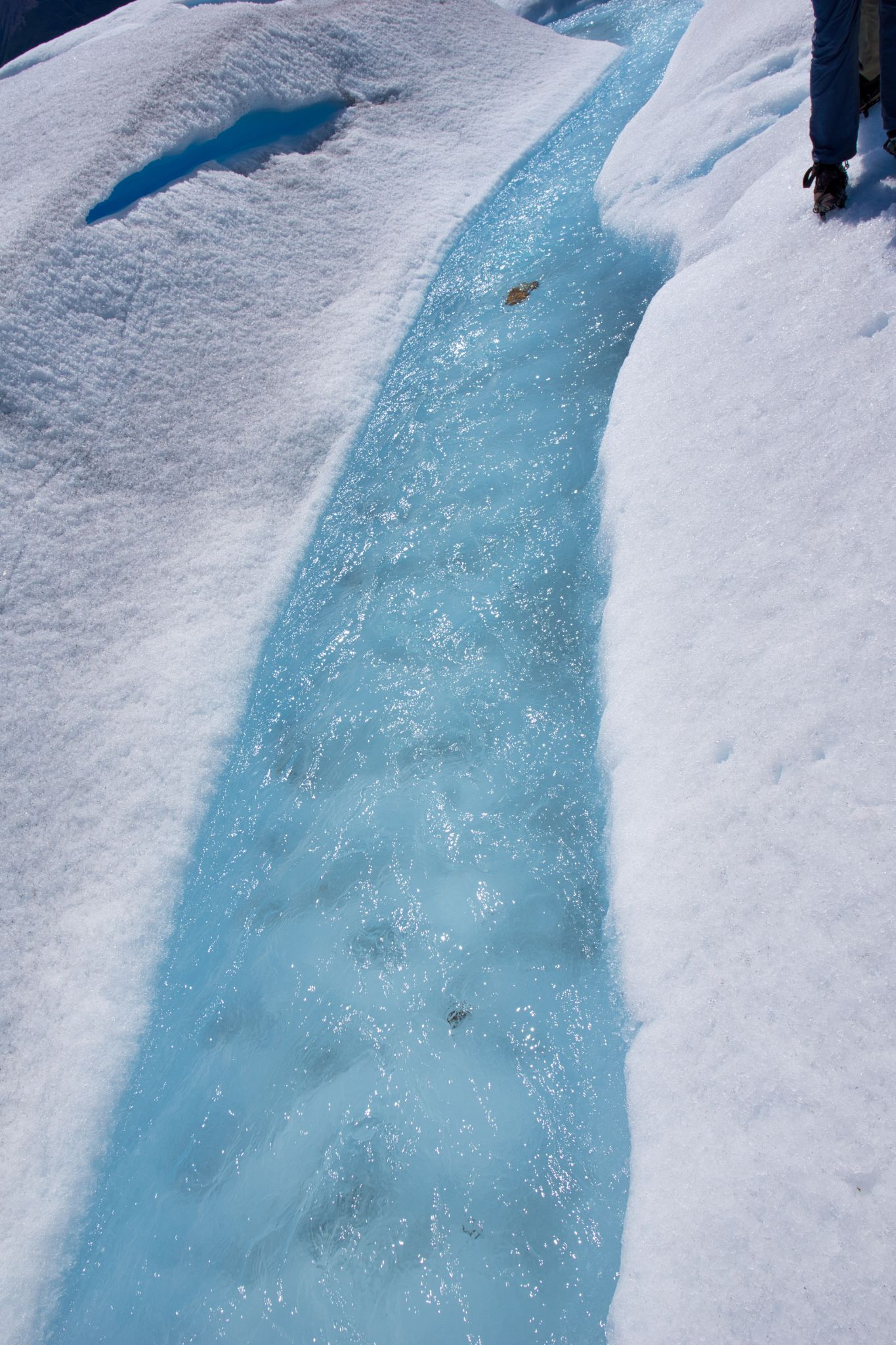 Argentina El Calafate  202